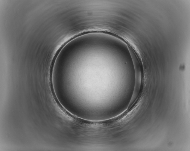 X0000090980797200708091456