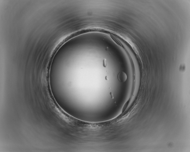 X0000090980799200708091456