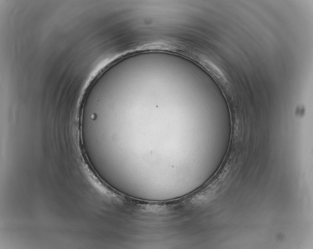 X0000090980800200708091456