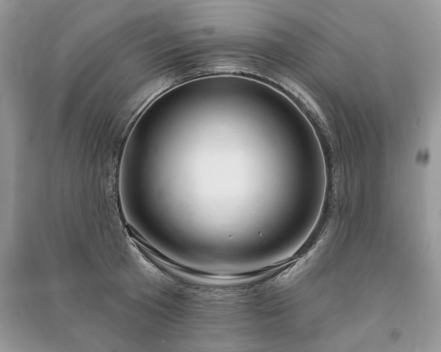 X0000090980801200708091456