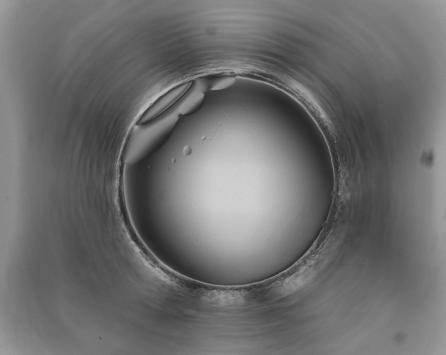 X0000090980802200708091456
