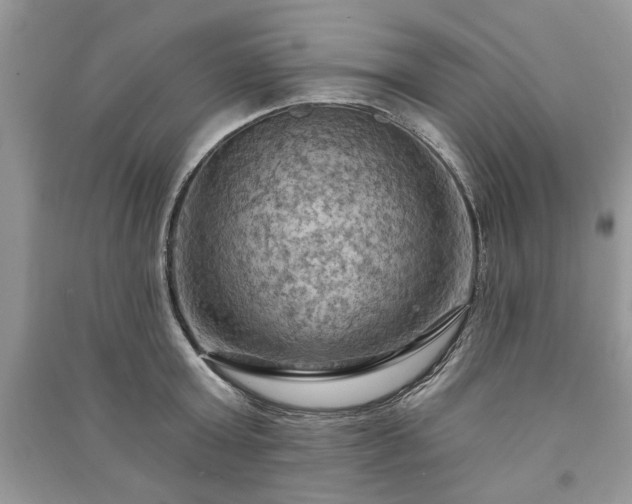 X0000090980803200708091456