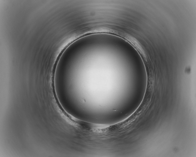 X0000090980805200708091456