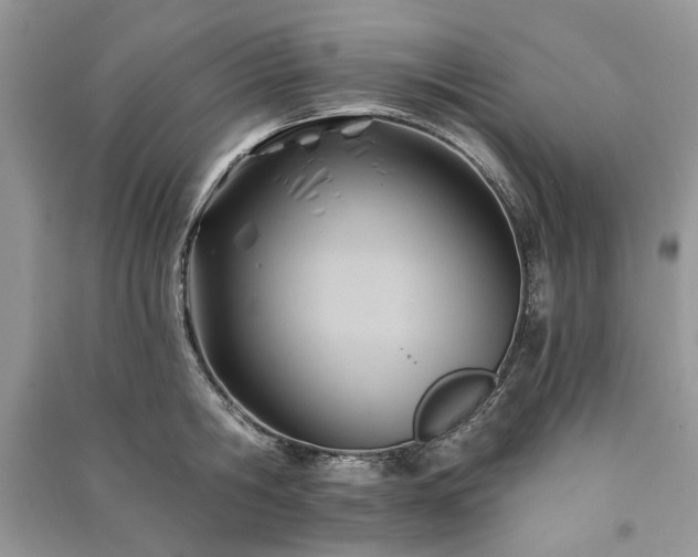 X0000090980806200708091456