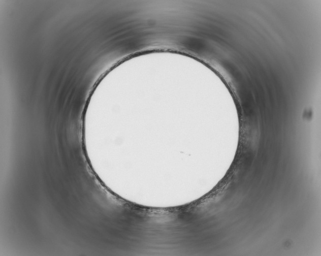 X0000090980807200708091456