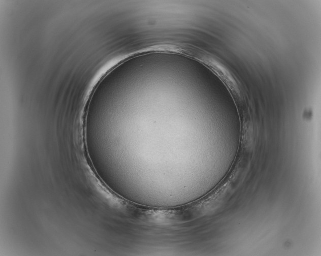 X0000090980808200708091456