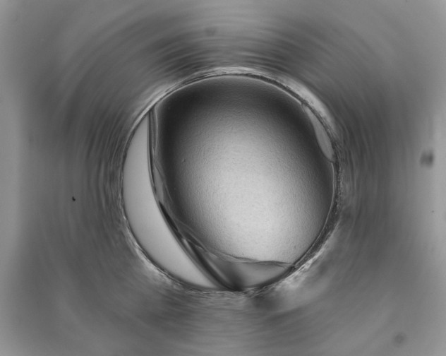 X0000090980809200708091456