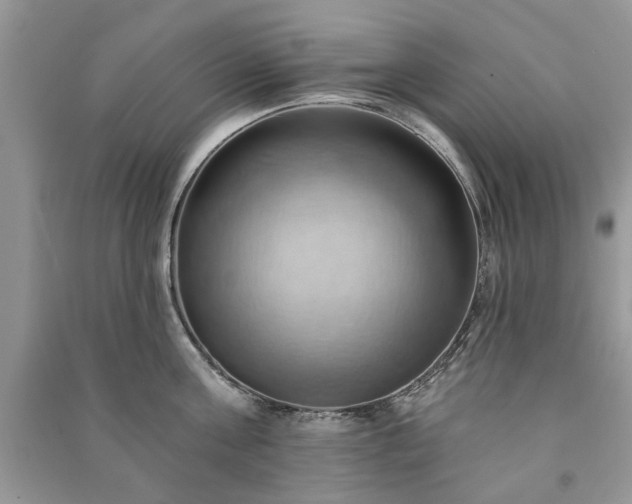 X0000090980811200708091456