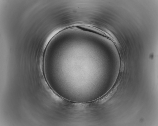 X0000090980812200708091456