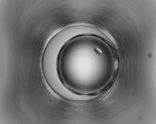 X0000090980813200708091456