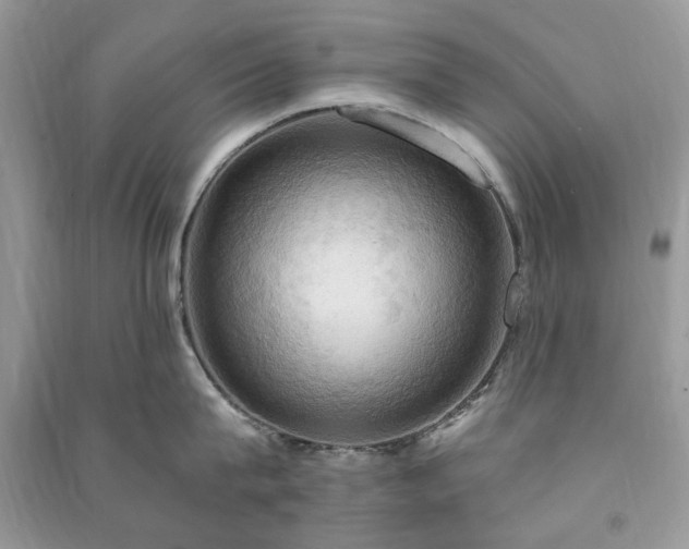 X0000090980815200708091456