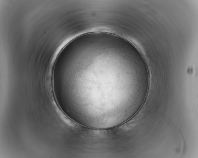 X0000090980816200708091456