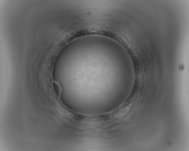 X0000090980817200708091455