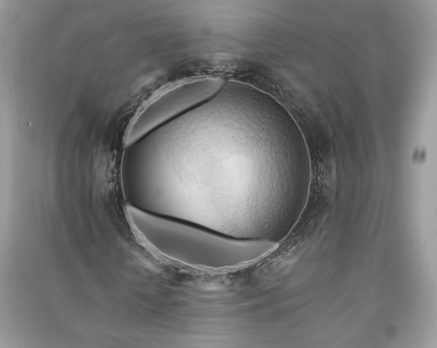 X0000090980818200708091455