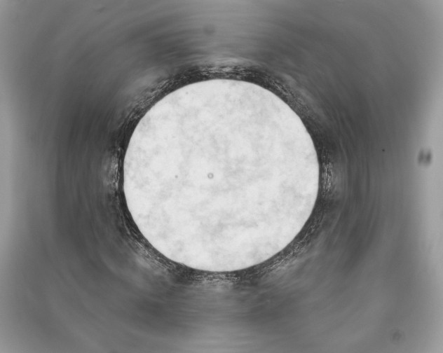 X0000090980820200708091455