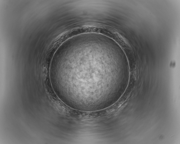 X0000090980821200708091455