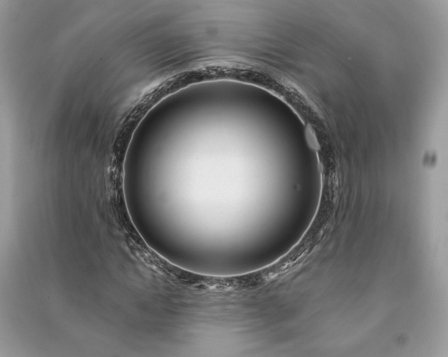 X0000090980822200708091455