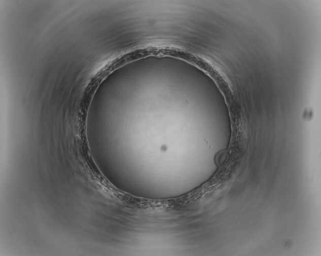 X0000090980823200708091455