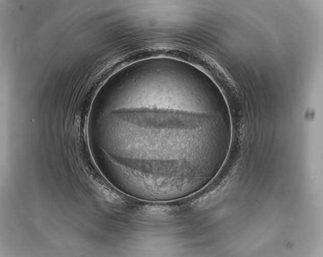 X0000090980825200708091455