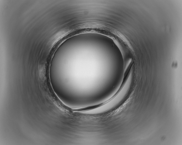X0000090980826200708091455