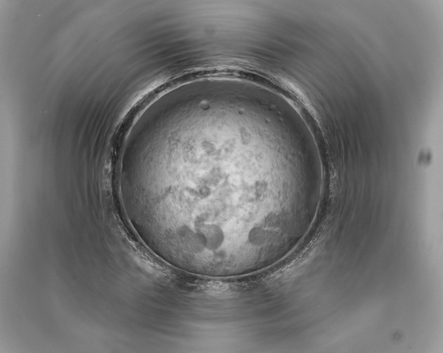 X0000090980827200708091455