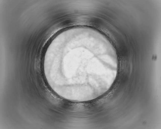 X0000090980828200708091455