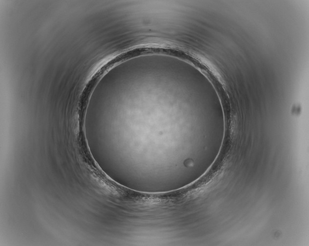 X0000090980829200708091456