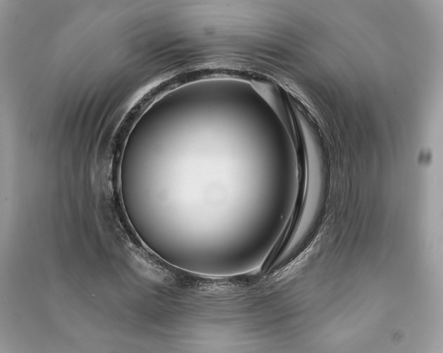 X0000090980830200708091456