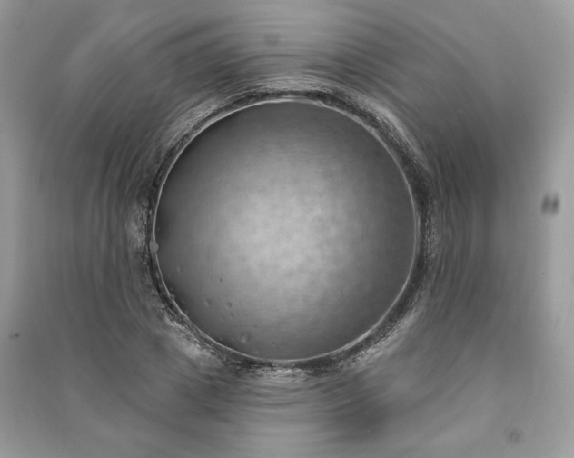 X0000090980833200708091456
