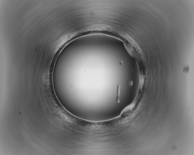 X0000090980834200708091456