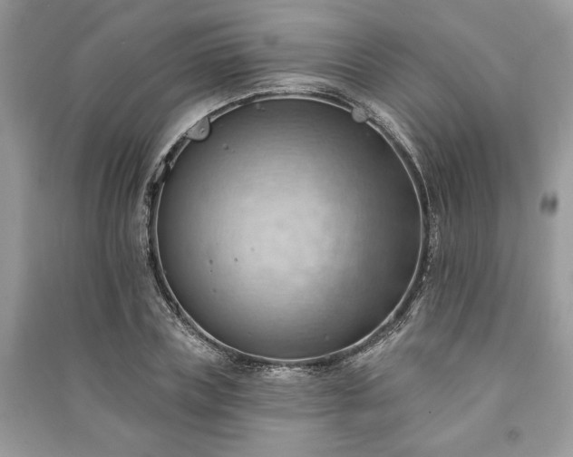 X0000090980835200708091456