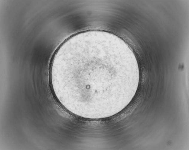X0000090980836200708091456
