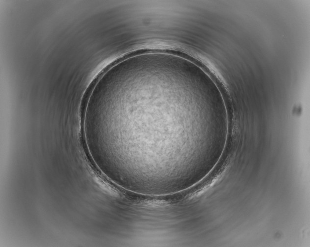 X0000090980837200708091456