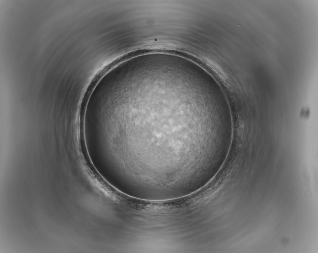 X0000090980840200708091456