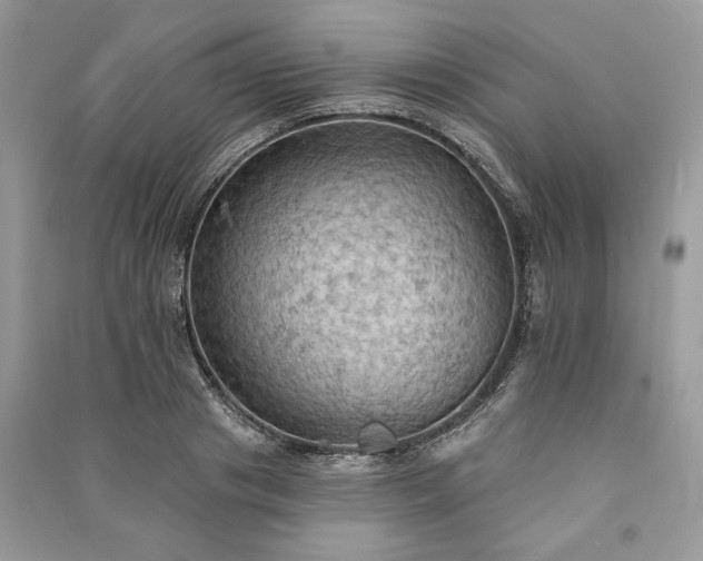 X0000090980841200708091456
