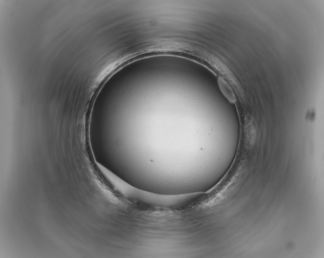 X0000090980842200708091456