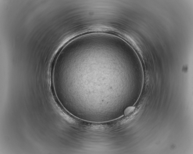 X0000090980843200708091456