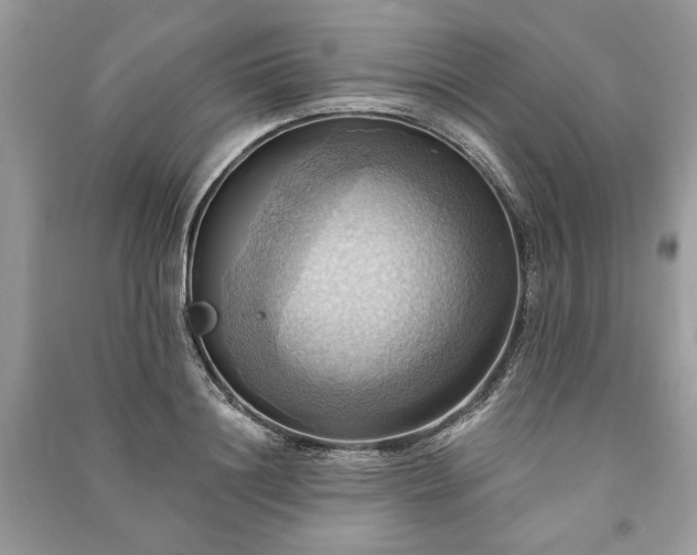 X0000090980844200708091456