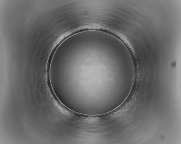 X0000090980845200708091456