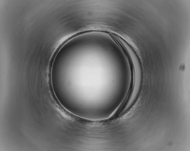 X0000090980846200708091456