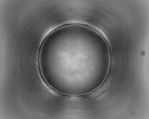 X0000090980847200708091456