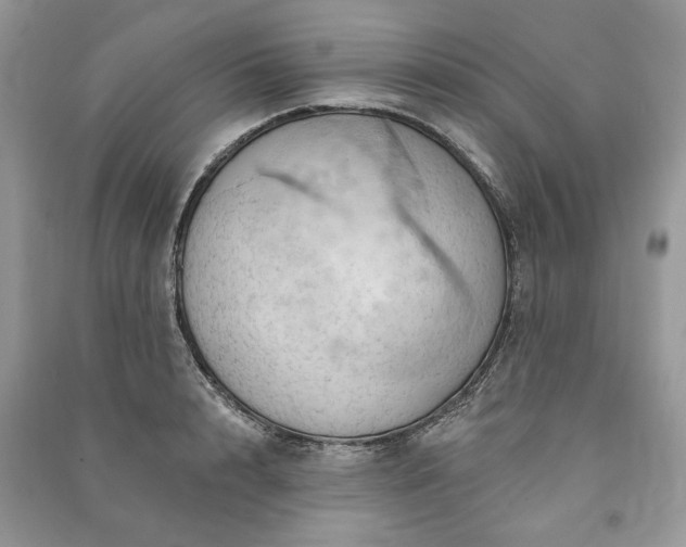 X0000090980848200708091456