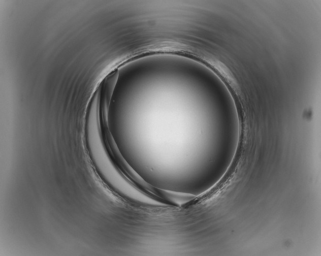 X0000090980850200708091456
