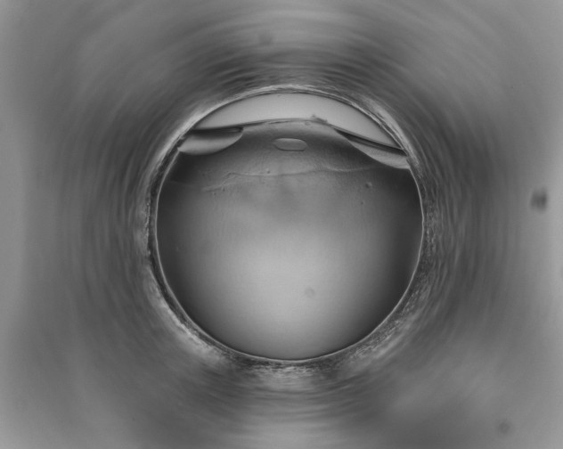 X0000090980851200708091456