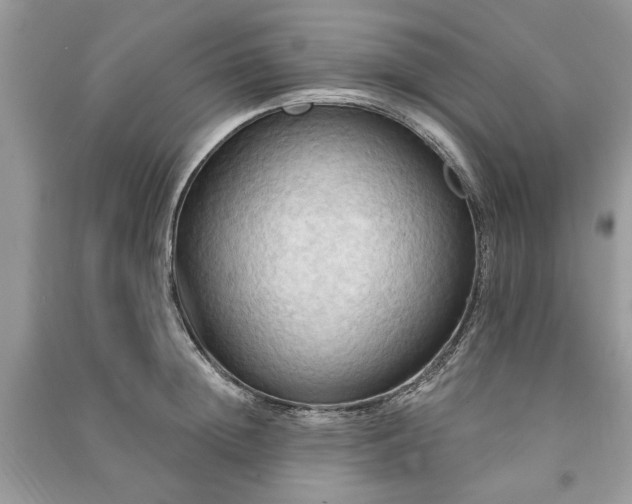 X0000090980852200708091456