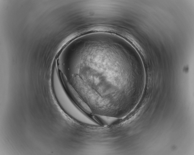 X0000090980853200708091456
