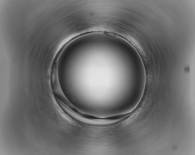 X0000090980854200708091456