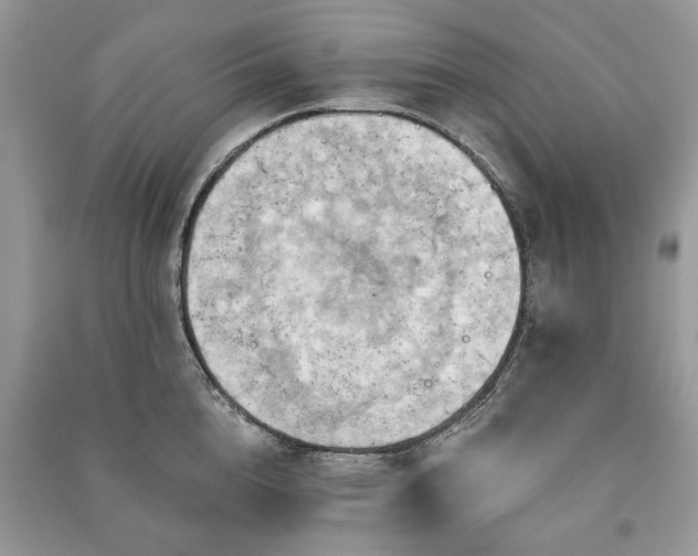 X0000090980856200708091456