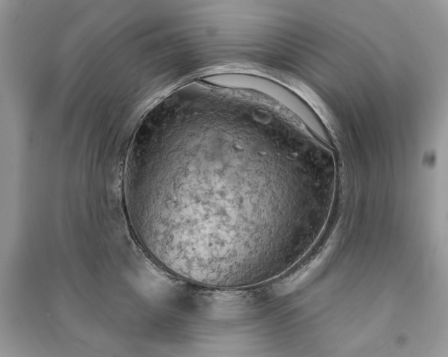X0000090980857200708091456