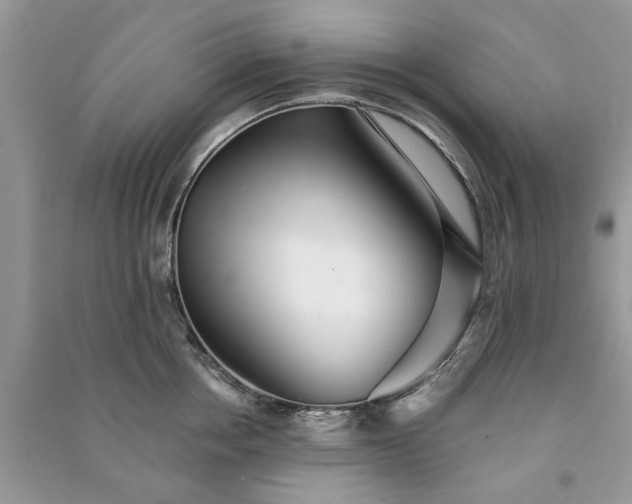 X0000090980858200708091456